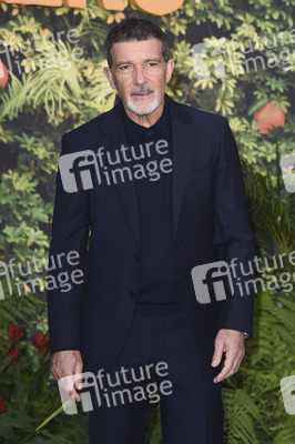 Filmpremiere 'Paddington in Peru' in London