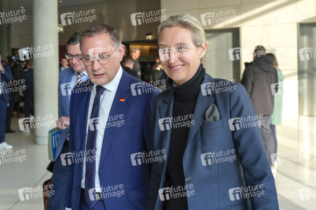 Fraktionssitzung der AfD-Bundestagsfraktion in Berlin