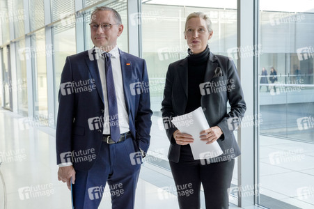 Fraktionssitzung der AfD-Bundestagsfraktion in Berlin