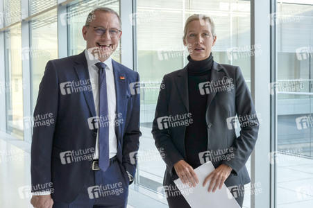 Fraktionssitzung der AfD-Bundestagsfraktion in Berlin