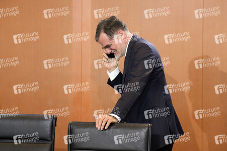 119. Sitzung des Bundeskabinetts in Berlin