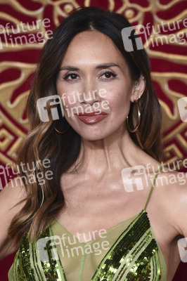 Filmpremiere 'Gladiator II' in London