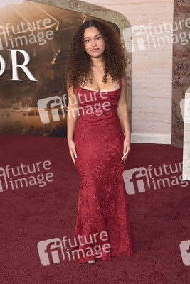 Filmpremiere 'Gladiator II' in Los Angeles