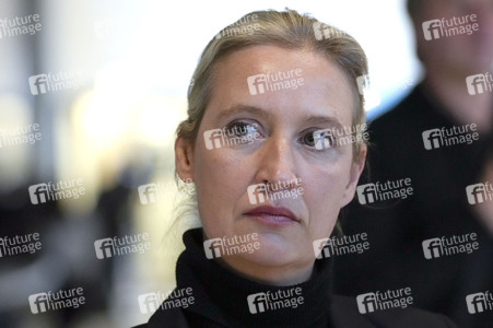 Fraktionssitzung der AfD-Bundestagsfraktion in Berlin