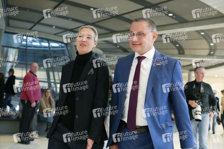 Fraktionssitzung der AfD-Bundestagsfraktion in Berlin