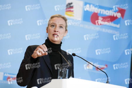 Fraktionssitzung der AfD-Bundestagsfraktion in Berlin