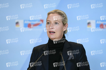 Fraktionssitzung der AfD-Bundestagsfraktion in Berlin