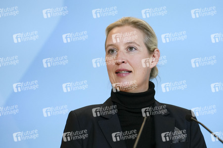 Fraktionssitzung der AfD-Bundestagsfraktion in Berlin