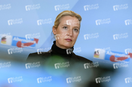 Fraktionssitzung der AfD-Bundestagsfraktion in Berlin