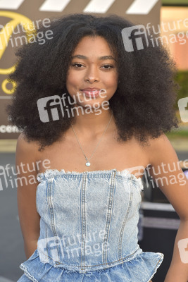 Serienpräsentation 'Dream Productions' in Burbank