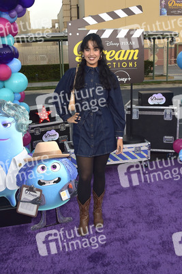 Serienpräsentation 'Dream Productions' in Burbank