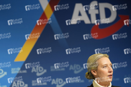 Pressekonferenz zur Präsentation des Kanzlerkandidaten der AfD für die Bundestagswahl 2025 in Berlin