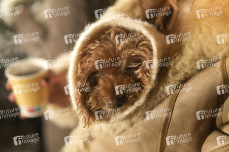Alt-Rixdorfer Weihnachtsmarkt in Berlin