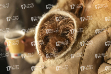 Alt-Rixdorfer Weihnachtsmarkt in Berlin