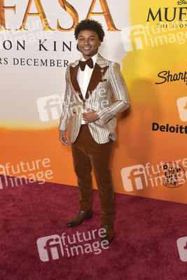 Filmpremiere 'Mufasa: Der König der Löwen' in Los Angeles
