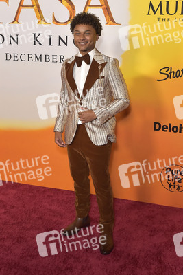 Filmpremiere 'Mufasa: Der König der Löwen' in Los Angeles
