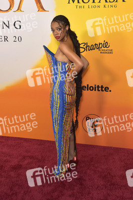 Filmpremiere 'Mufasa: Der König der Löwen' in Los Angeles