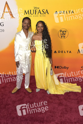 Filmpremiere 'Mufasa: Der König der Löwen' in Los Angeles