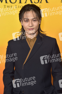 Filmpremiere 'Mufasa: Der König der Löwen' in Los Angeles