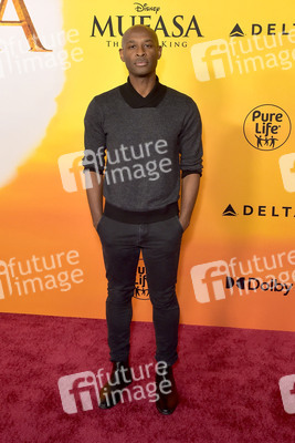 Filmpremiere 'Mufasa: Der König der Löwen' in Los Angeles