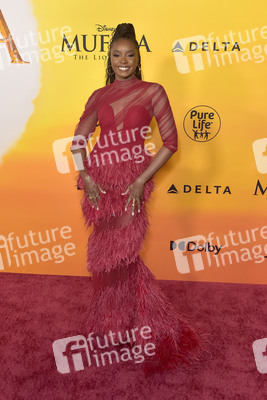 Filmpremiere 'Mufasa: Der König der Löwen' in Los Angeles