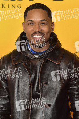 Filmpremiere 'Mufasa: Der König der Löwen' in Los Angeles