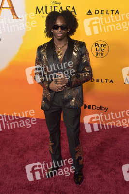 Filmpremiere 'Mufasa: Der König der Löwen' in Los Angeles