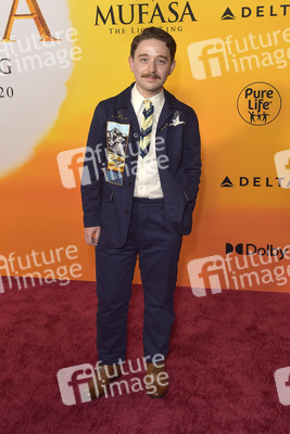 Filmpremiere 'Mufasa: Der König der Löwen' in Los Angeles