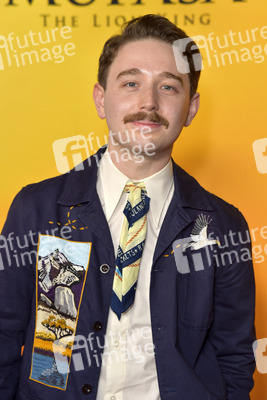 Filmpremiere 'Mufasa: Der König der Löwen' in Los Angeles