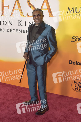 Filmpremiere 'Mufasa: Der König der Löwen' in Los Angeles