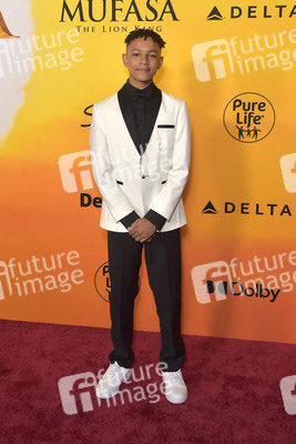 Filmpremiere 'Mufasa: Der König der Löwen' in Los Angeles