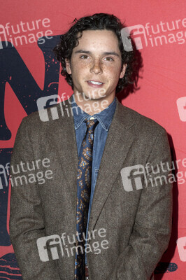 Filmpremiere 'The Man in the White Van' in Culver City