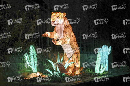 Magische Lichterwelten in Halle