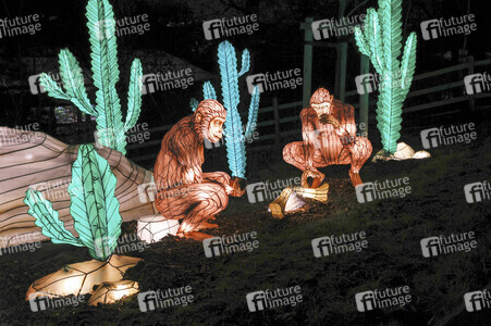 Magische Lichterwelten in Halle