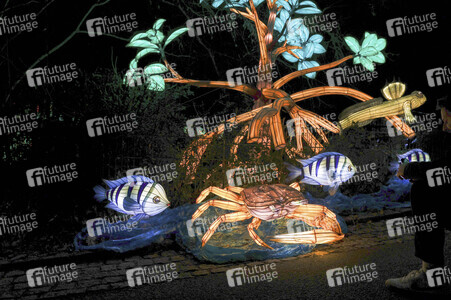 Magische Lichterwelten in Halle