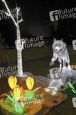 Magische Lichterwelten in Halle