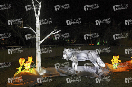 Magische Lichterwelten in Halle