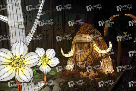 Magische Lichterwelten in Halle