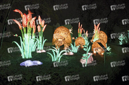 Magische Lichterwelten in Halle