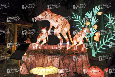 Magische Lichterwelten in Halle