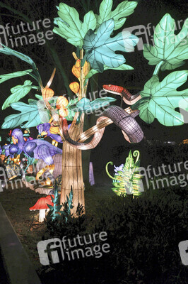 Magische Lichterwelten in Halle