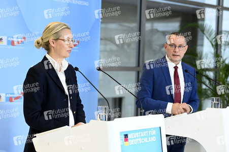 Fraktionssitzung der AfD-Bundestagsfraktion in Berlin