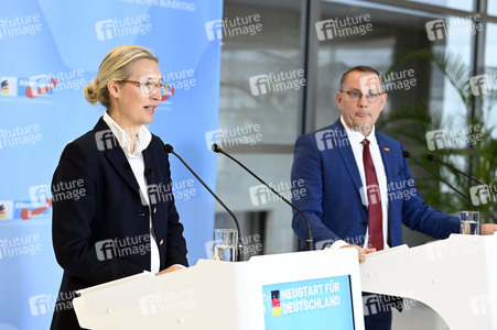 Fraktionssitzung der AfD-Bundestagsfraktion in Berlin