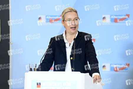 Fraktionssitzung der AfD-Bundestagsfraktion in Berlin