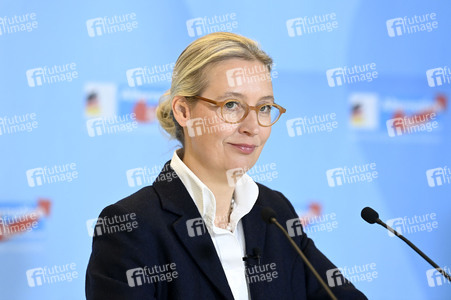 Fraktionssitzung der AfD-Bundestagsfraktion in Berlin