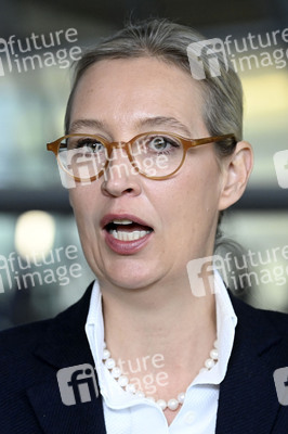 Fraktionssitzung der AfD-Bundestagsfraktion in Berlin