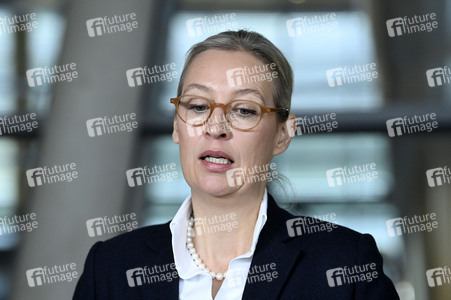 Fraktionssitzung der AfD-Bundestagsfraktion in Berlin