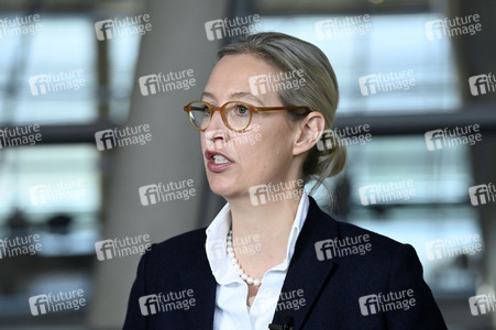 Fraktionssitzung der AfD-Bundestagsfraktion in Berlin