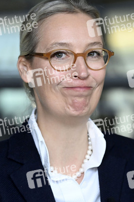 Fraktionssitzung der AfD-Bundestagsfraktion in Berlin