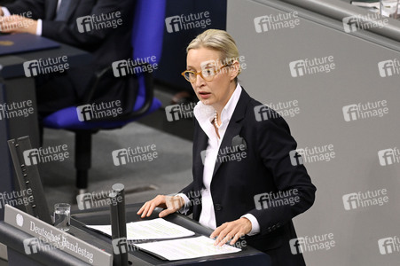 205. Sitzung des Deutschen Bundestages in Berlin